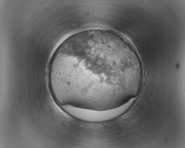 X0000115591243200912011455