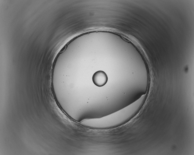 X0000115591244200912011455