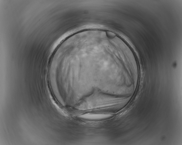 X0000115591245200912011455