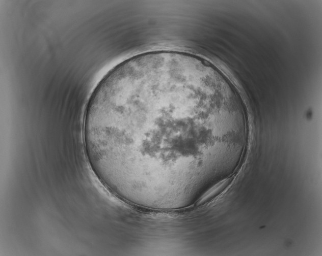X0000115591246200912011455