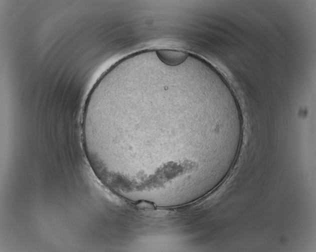 X0000115591248200912011455