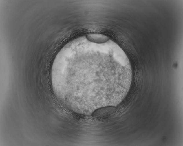 X0000115591249200912011455