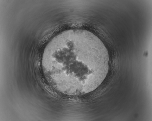 X0000115591250200912011455