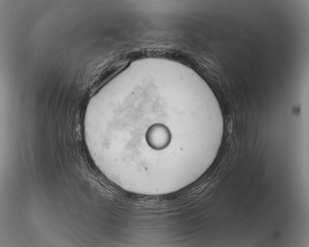 X0000115591252200912011455
