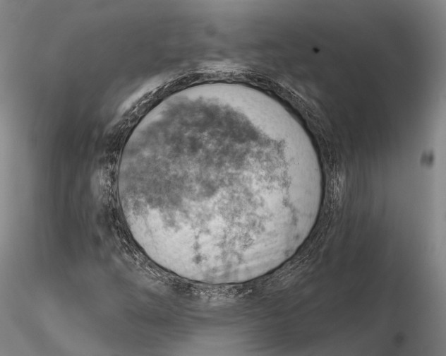 X0000115591254200912011454