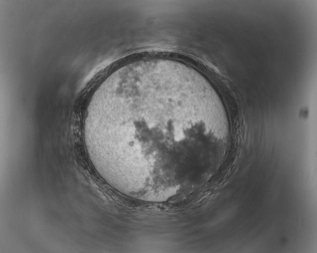 X0000115591255200912011454