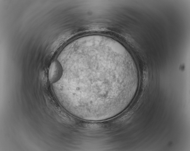 X0000115591257200912011454