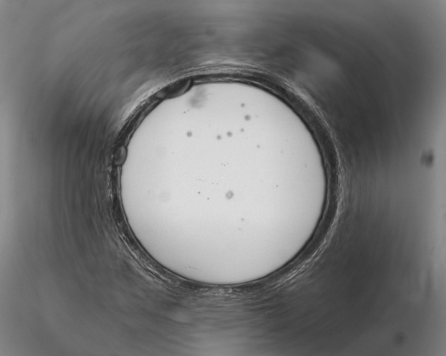 X0000115591259200912011454