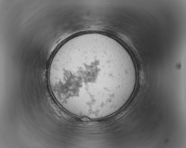 X0000115591260200912011454
