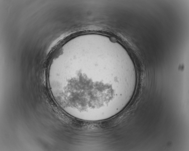 X0000115591262200912011454