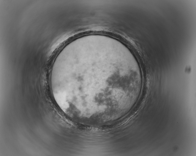 X0000115591263200912011454
