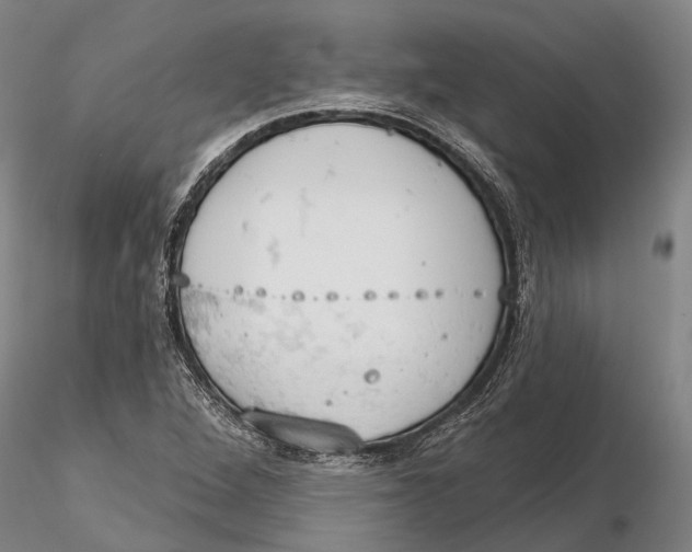 X0000115591264200912011454