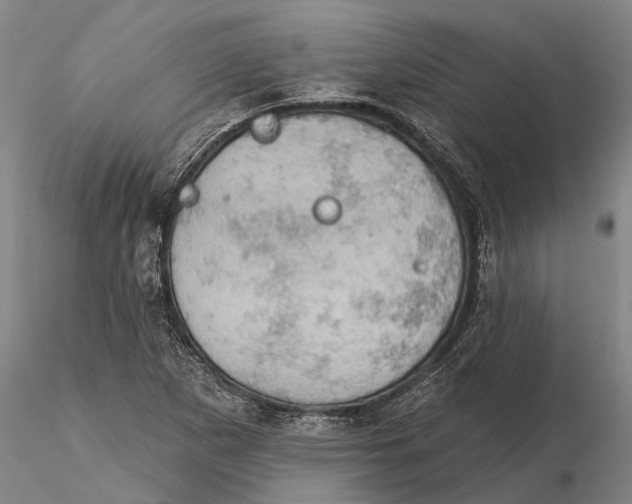 X0000115591265200912011454