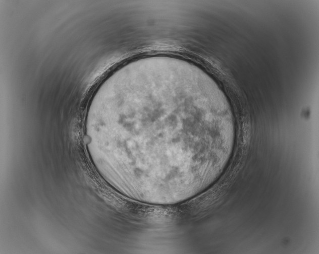 X0000115591266200912011454