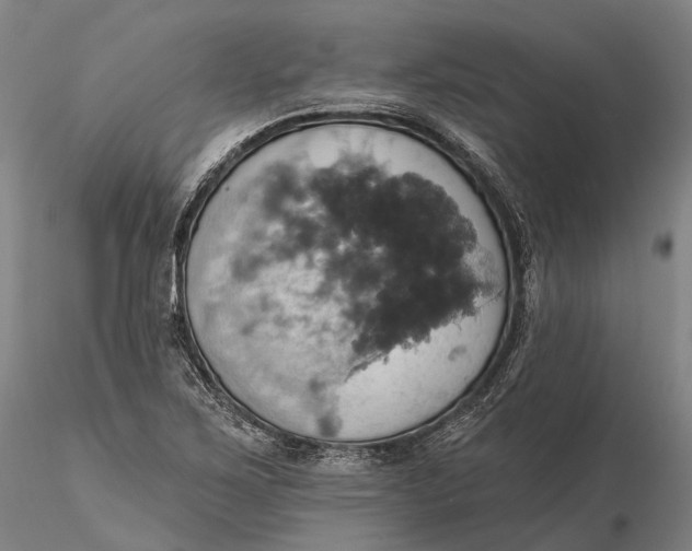X0000115591267200912011454