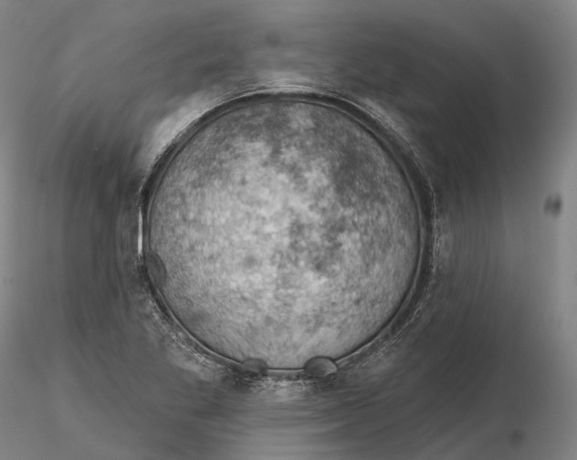 X0000115591269200912011454