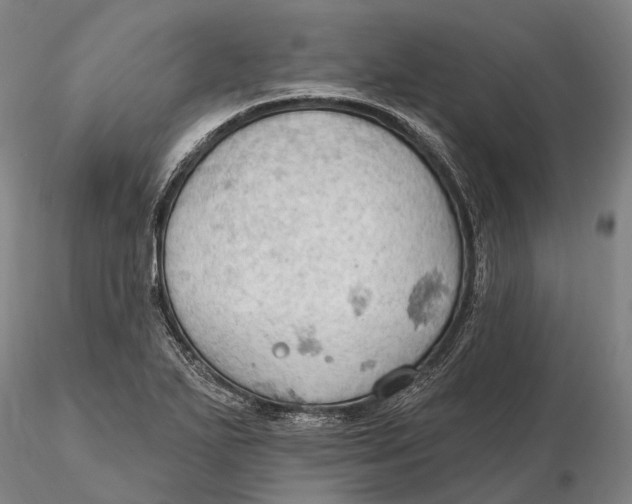 X0000115591271200912011454