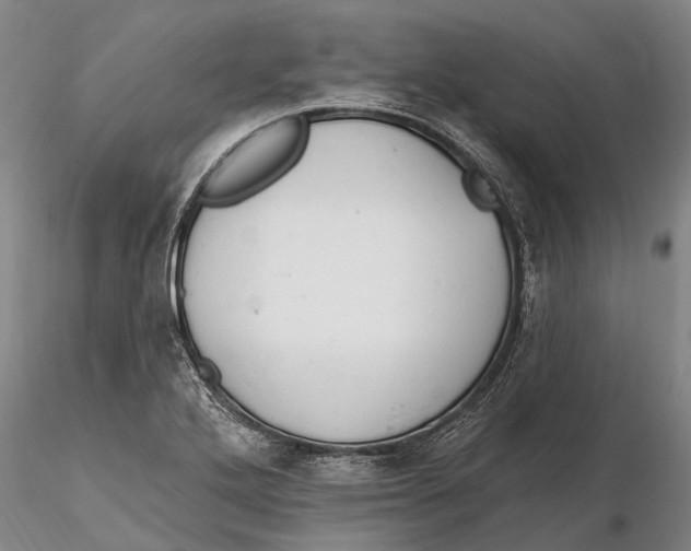 X0000115591272200912011454