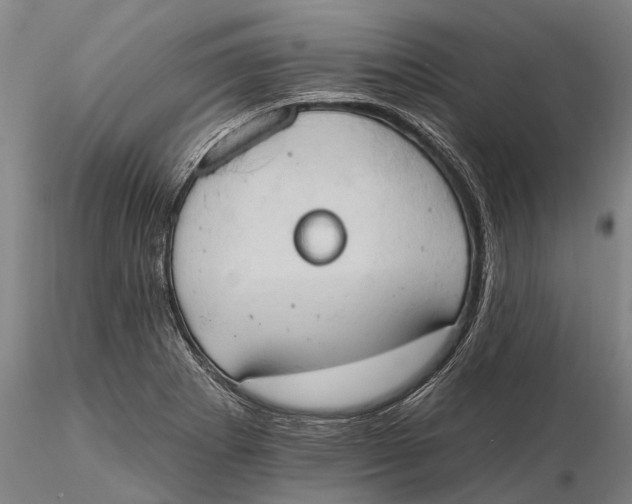 X0000115591273200912011454