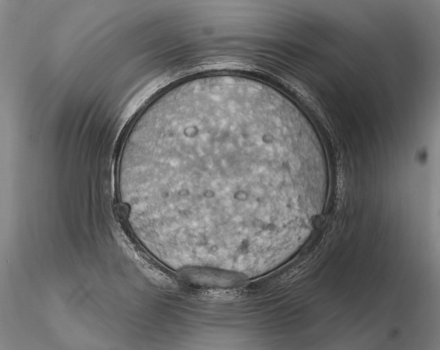 X0000115591274200912011454