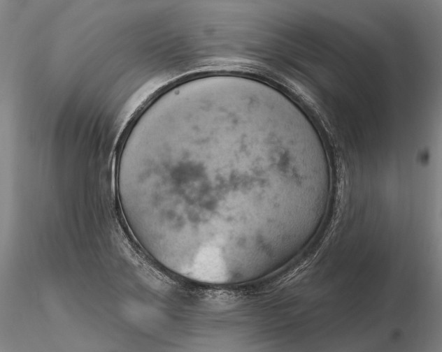 X0000115591275200912011454