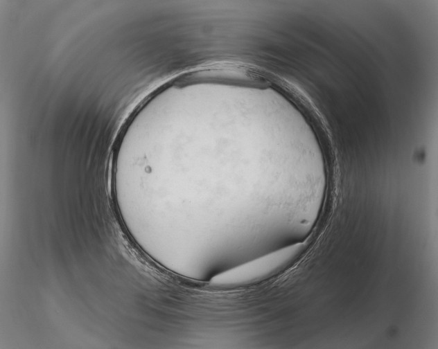 X0000115591276200912011454
