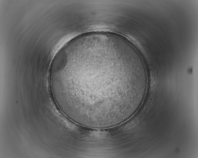 X0000115591277200912011454