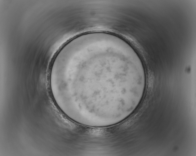 X0000115591278200912011454