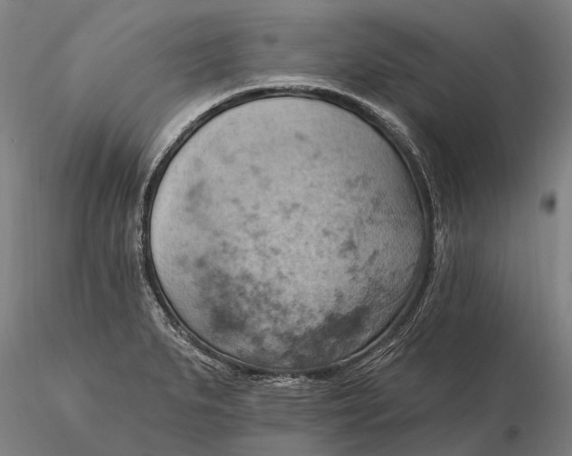 X0000115591279200912011454