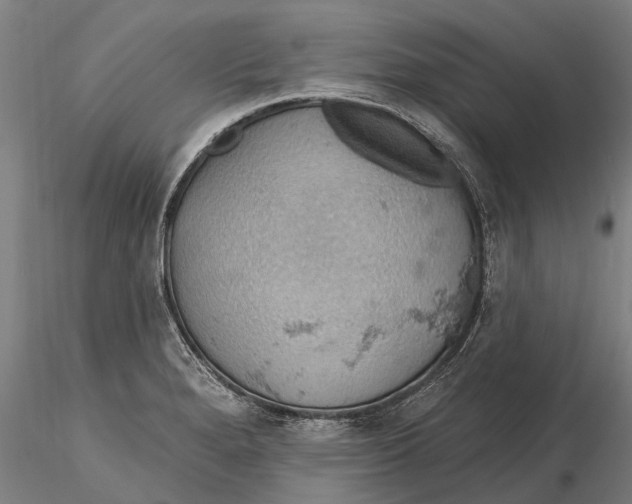 X0000115591280200912011454