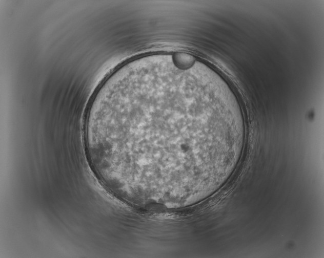 X0000115591283200912011454