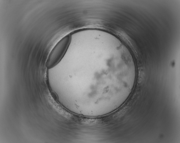 X0000115591284200912011454