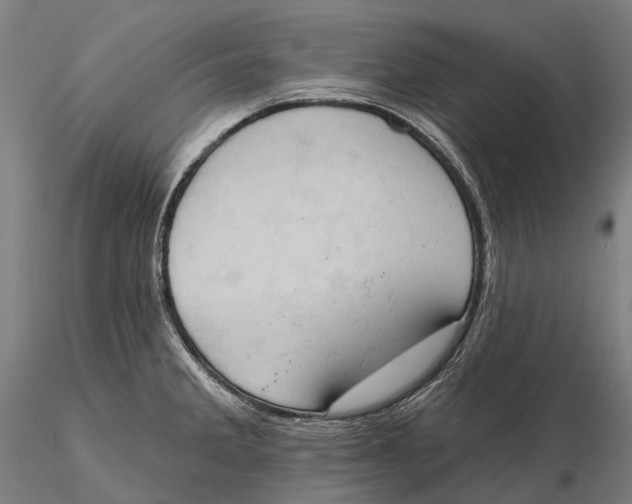 X0000115591285200912011454