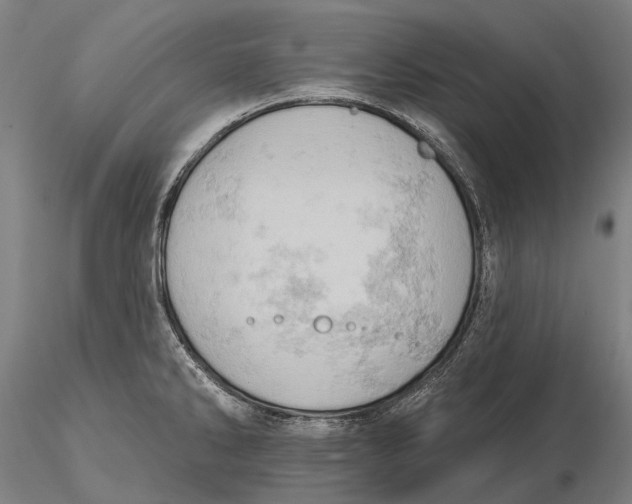 X0000115591286200912011454