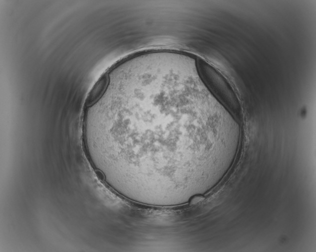 X0000115591288200912011454