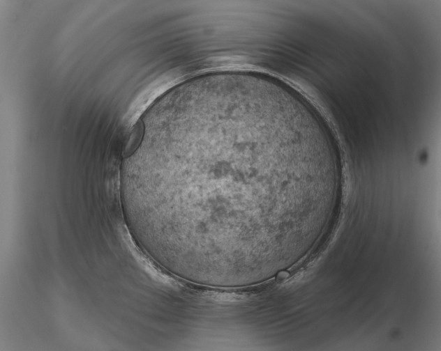 X0000115591289200912011454