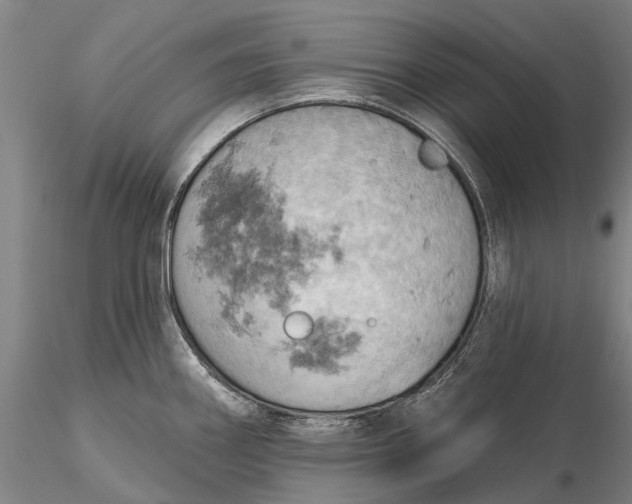X0000115591290200912011454