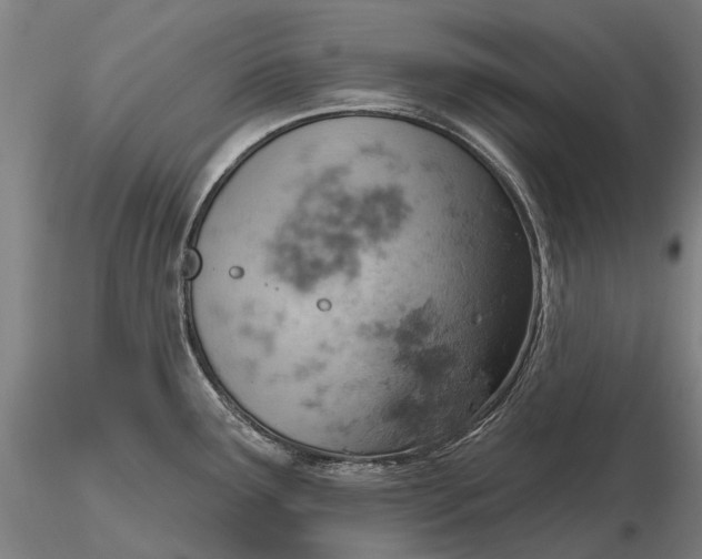 X0000115591291200912011454