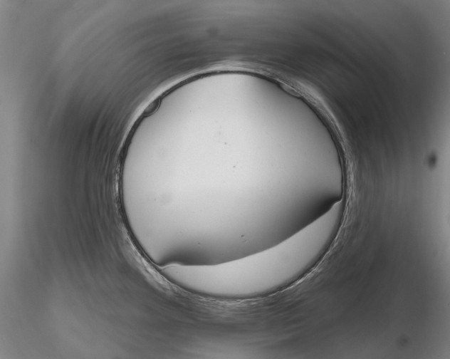 X0000115591292200912011454