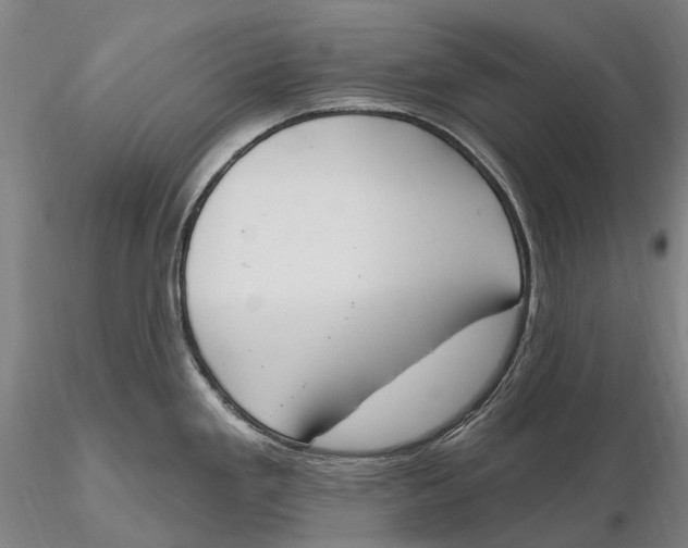 X0000115591293200912011454