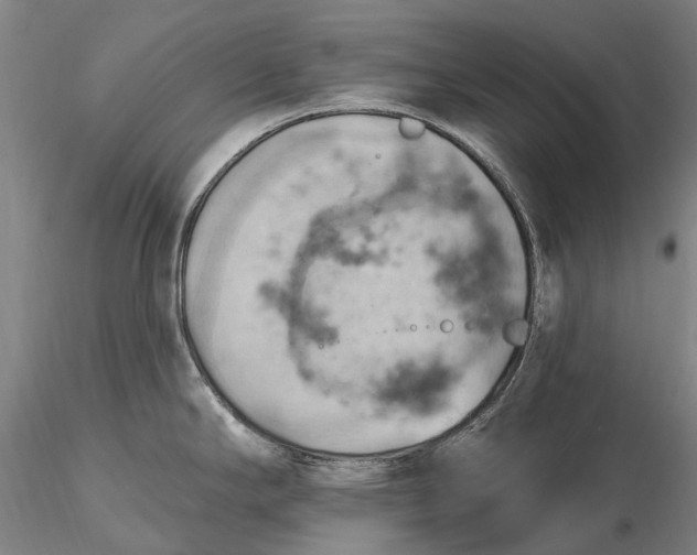 X0000115591294200912011454