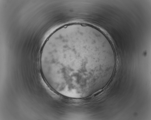 X0000115591295200912011454