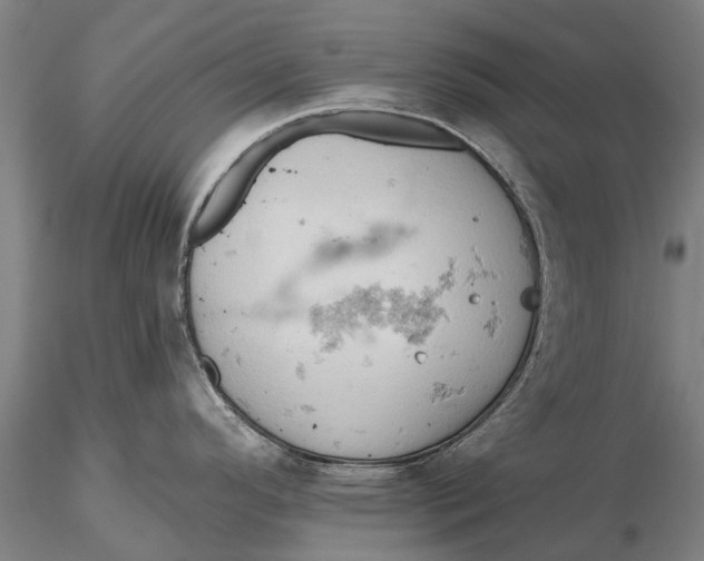 X0000115591296200912011454