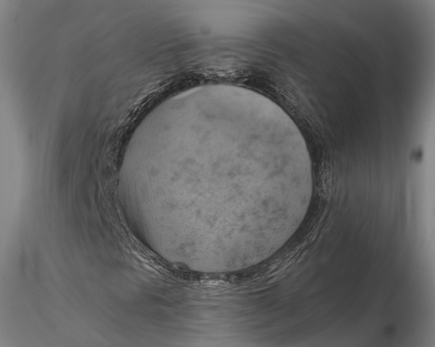 X0000115591297200912011453