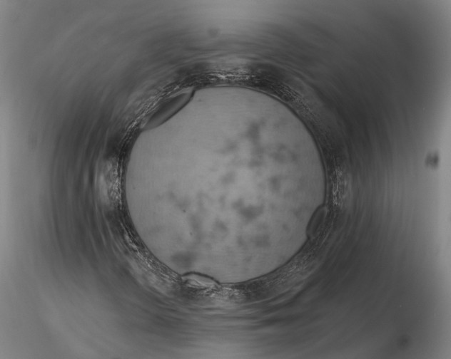 X0000115591298200912011453