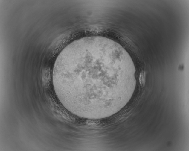 X0000115591299200912011453
