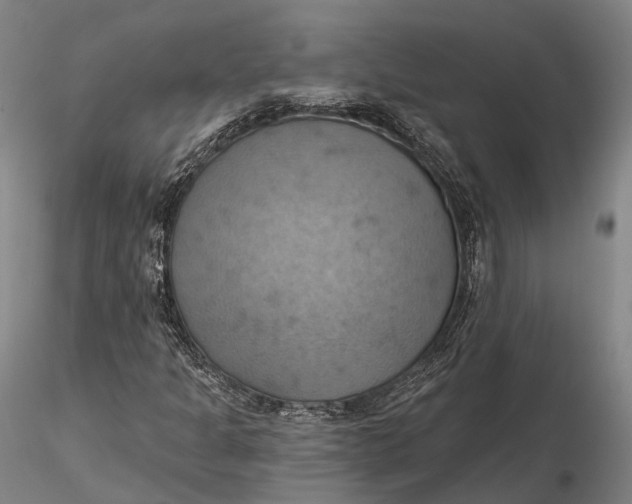 X0000115591301200912011453