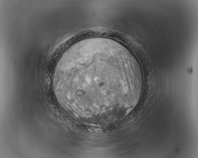X0000115591302200912011453