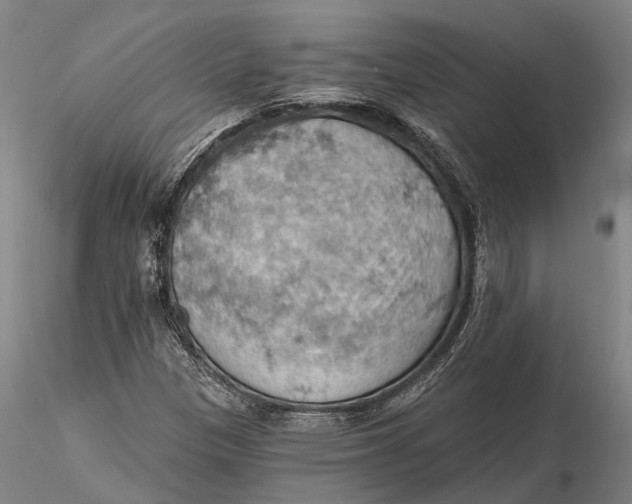 X0000115591305200912011453