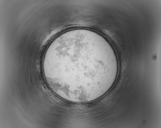 X0000115591307200912011453